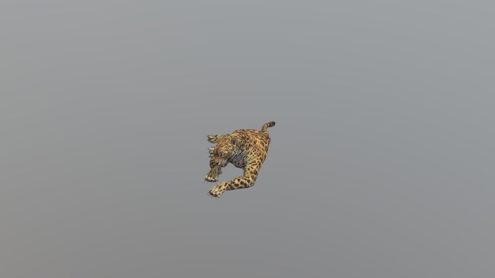 Leopard001-idle01 3D Model