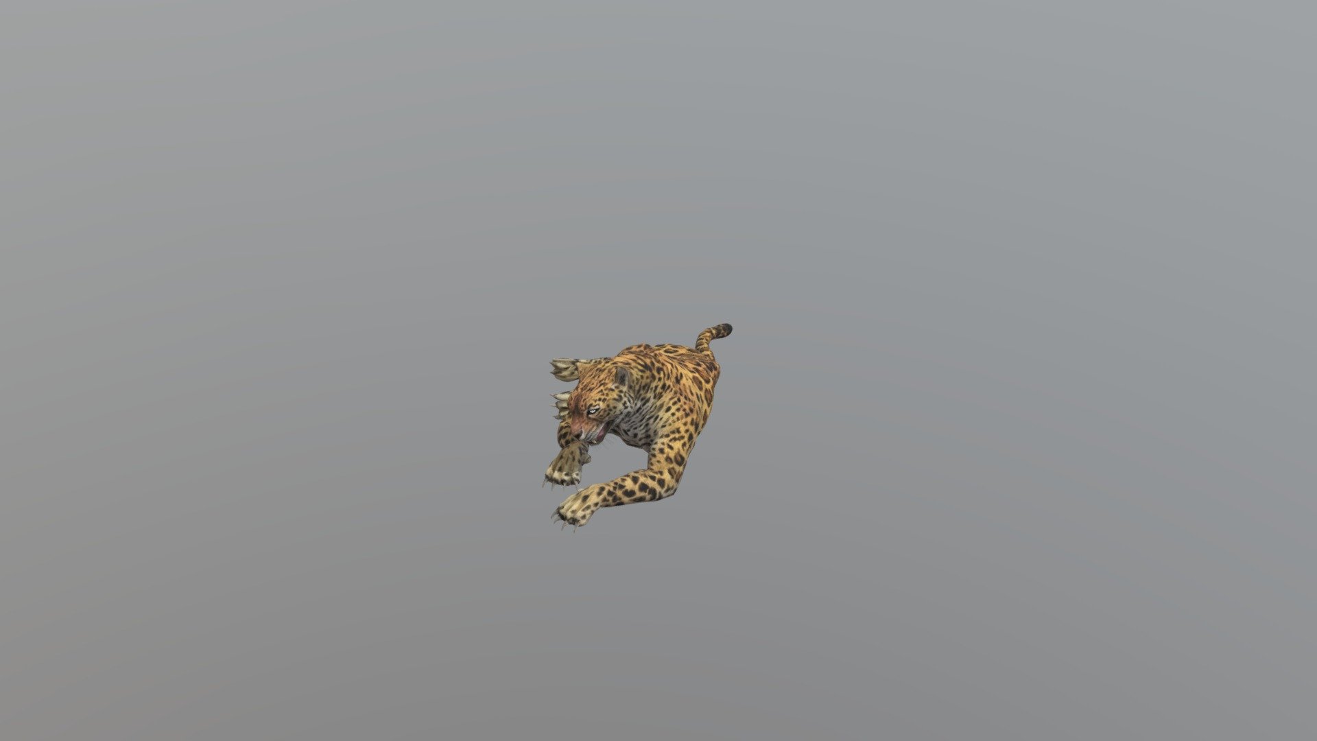 Leopard001-idle01