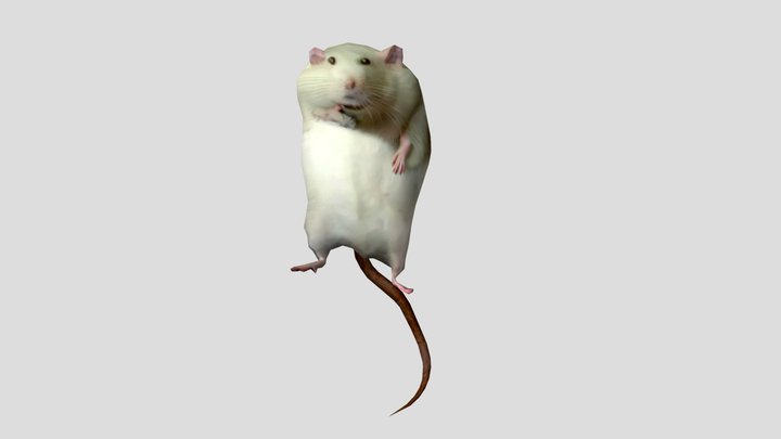 robert the fat rat 3D Model
