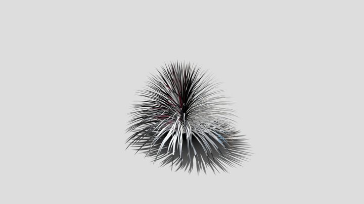 the little desert plant kit Dasylirion wheeleri 3D Model