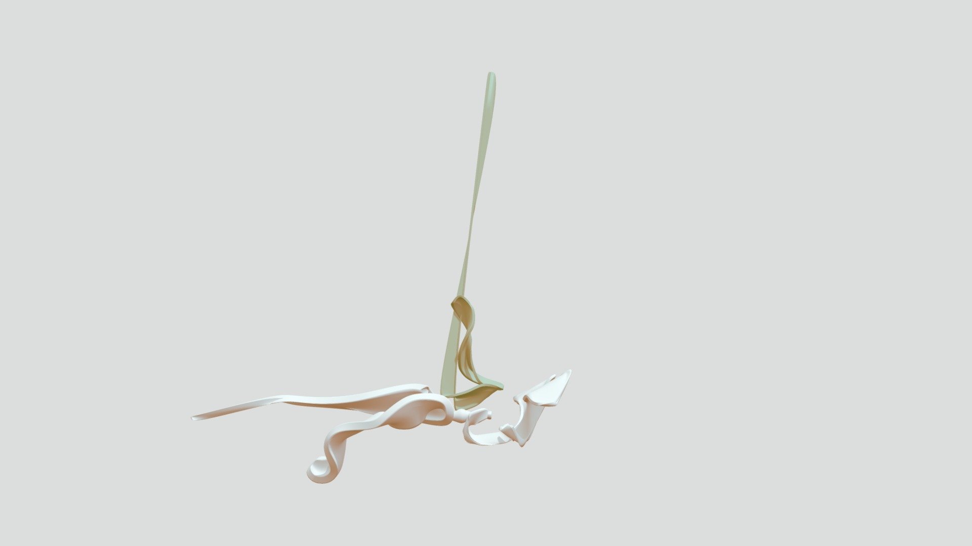 animal_marino1