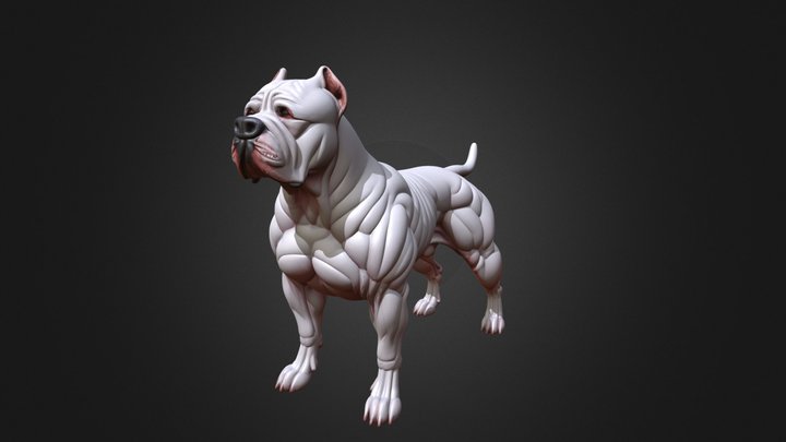 Dog003 – Modello 3D gratuito STL