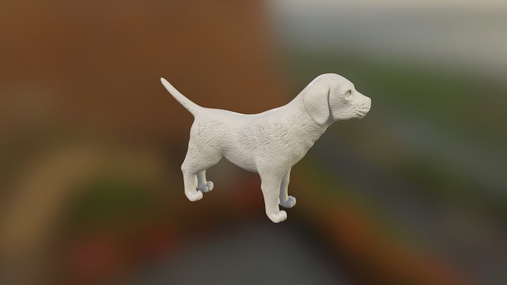 Am83_37 3D Model