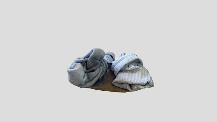 My socks 3D Model
