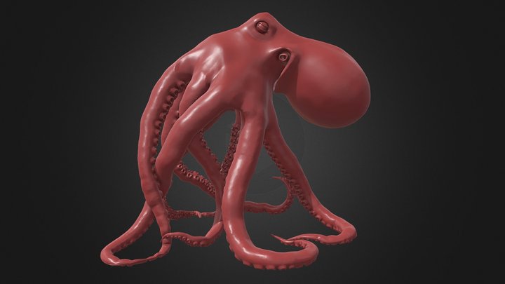 Octopus V4 3D Model