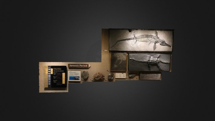 Museum display: Jurassic fossils (MOTE) – Free 3D Model STL