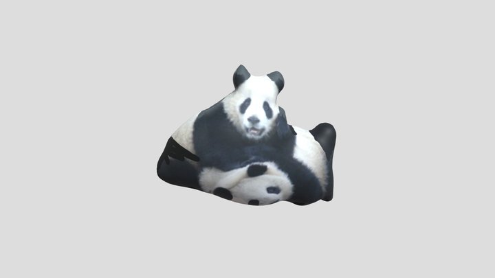 PANDA 3D Model