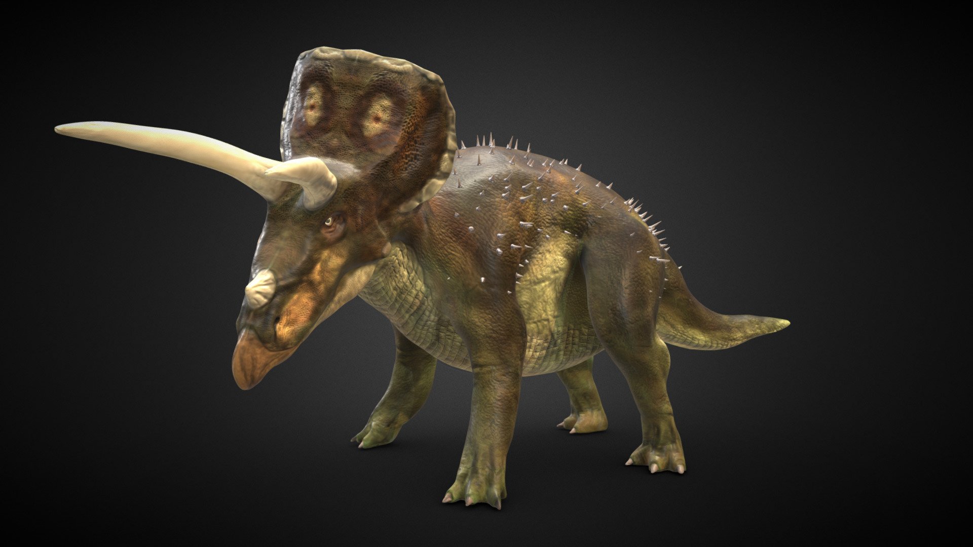 Triceratops - 3D model by Bill Nguyen (@bill_nguyen) [c344f06] - Sketchfab