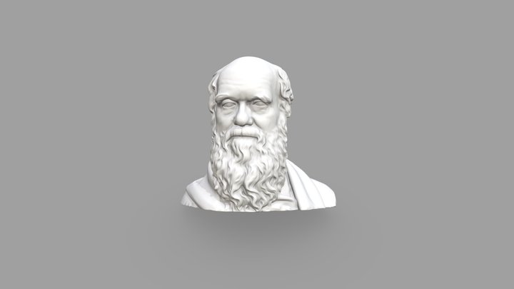 Darwin 3D Model