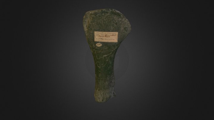 GSM 552 3D Model