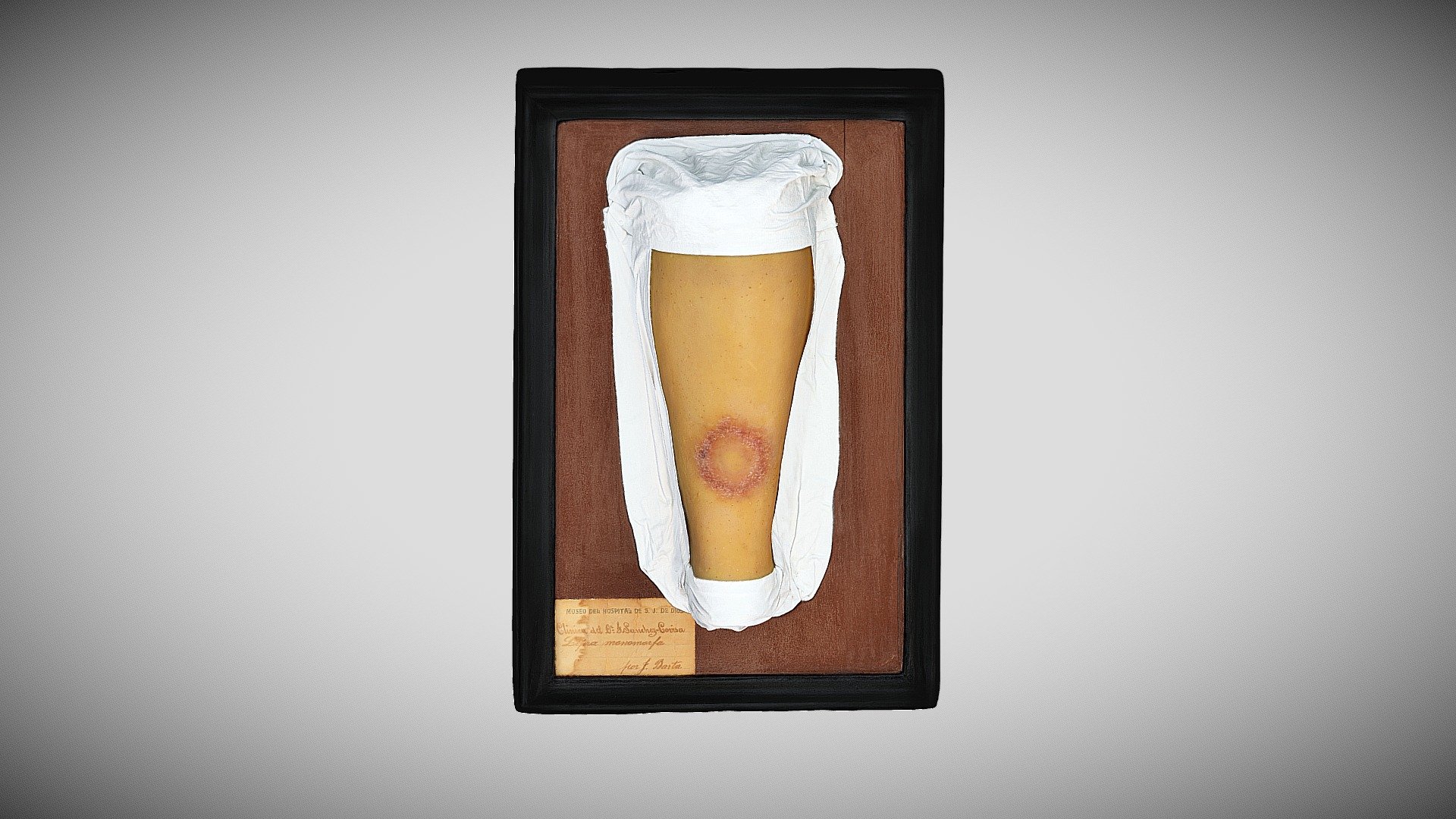 143 - 380 — Sketchfab embed 3D viewer