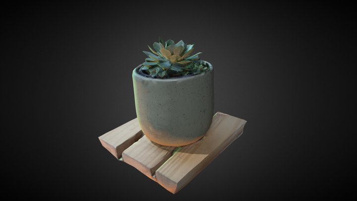 Potted Succulent 3D Model