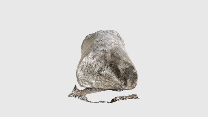 kolumna 4 3D Model