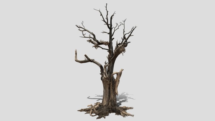 The Ancient Gnarled Tree 3d model free – Gratis 3D-model STL