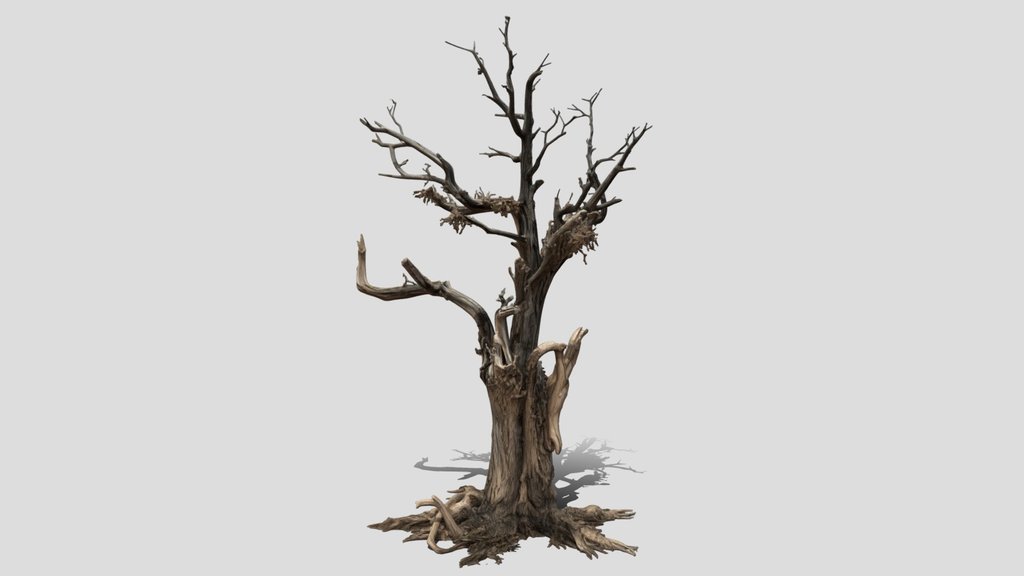 The Ancient Gnarled Tree 3d model free