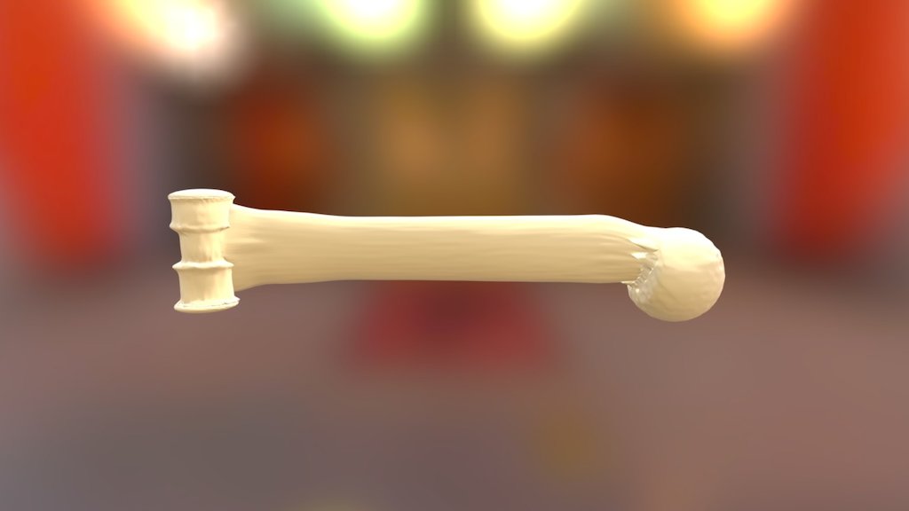 Human Femur Leg Bone