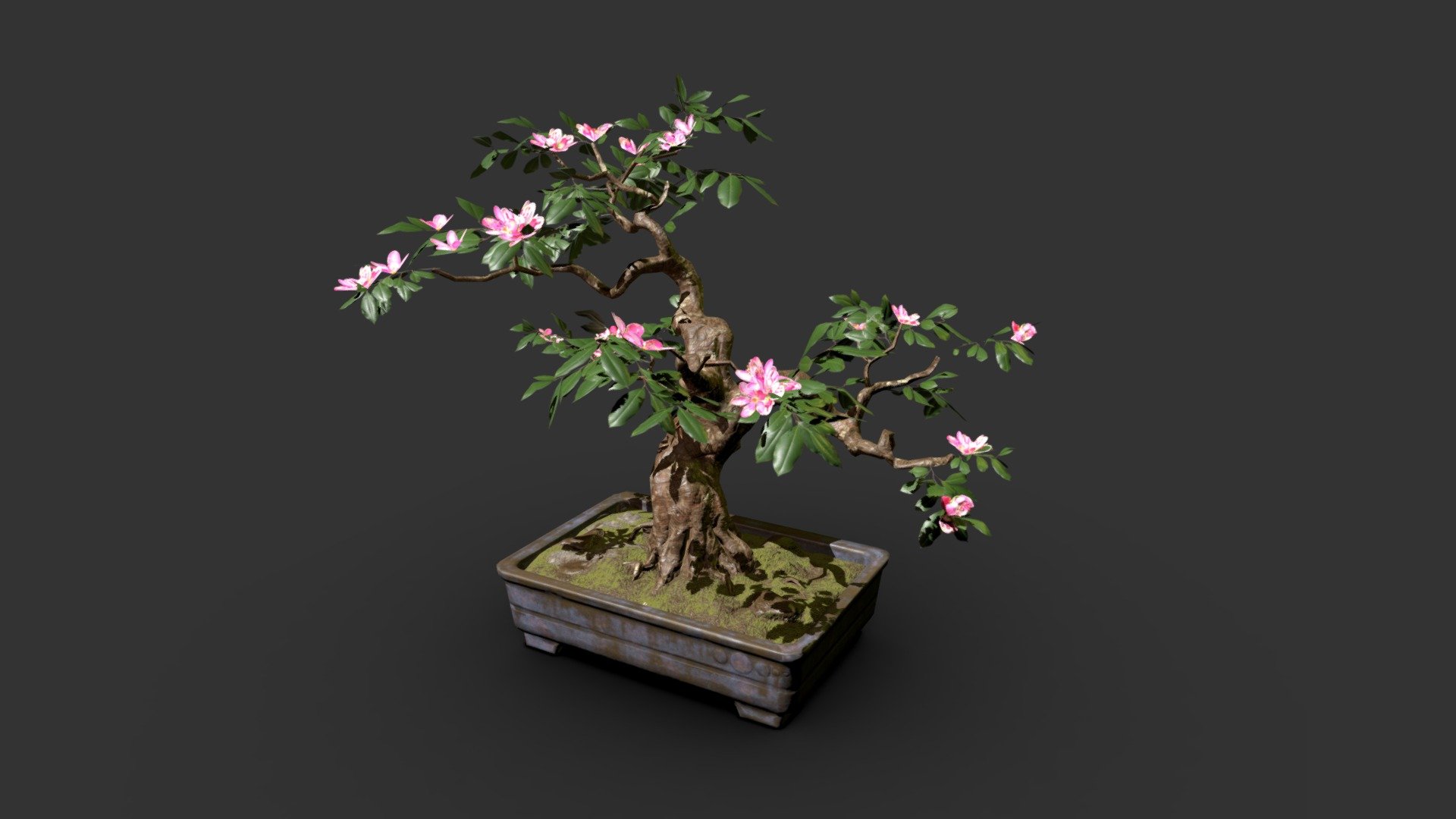 Bonsai with Golden Pollen