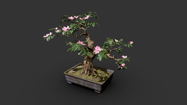 Bonsai with Golden Pollen 3D Model