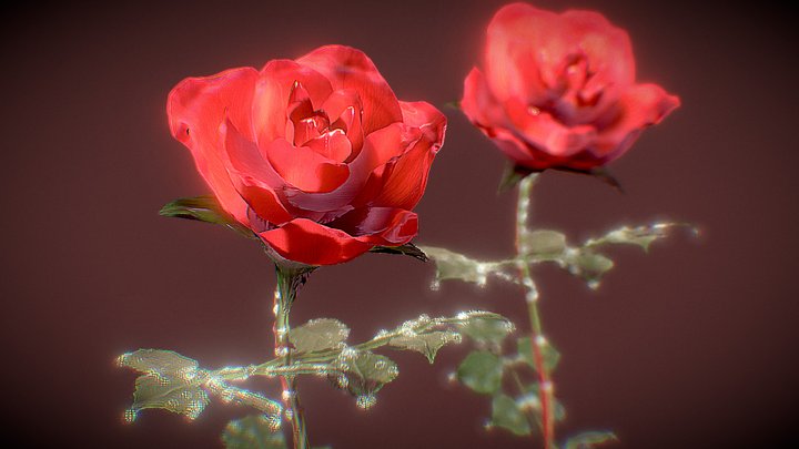 Rose 3D models - Sketchfab