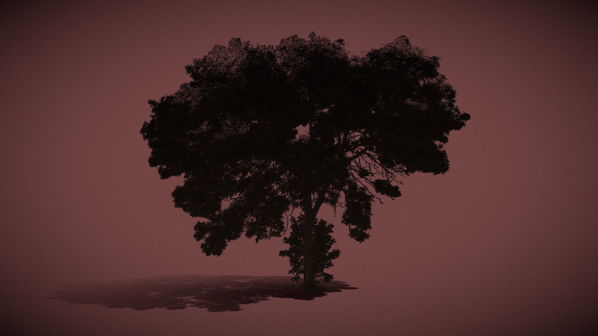 Tree shadow 03 - Buy Royalty Free 3D model by archiwum_xyz [c358ba1 ...