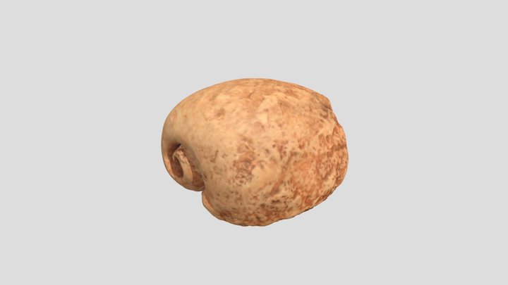 Fósil de gasterópodo 3D Model