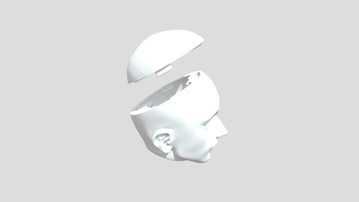 Bjd doll  Head 3D Model