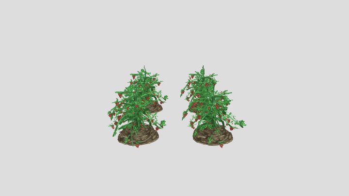Strawberry Bush 3D Model