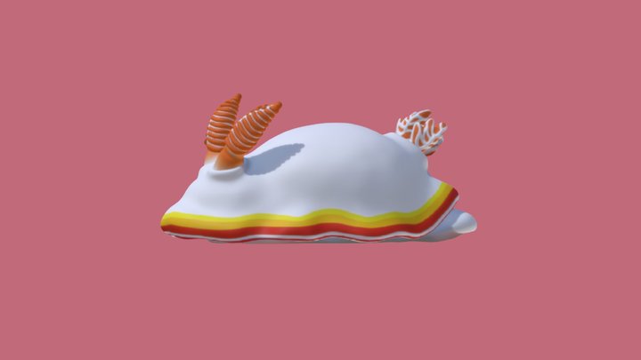 Bunny (Sea Bunny) 3D Model