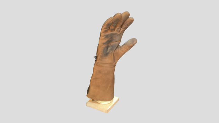 Gloves 3D Model
