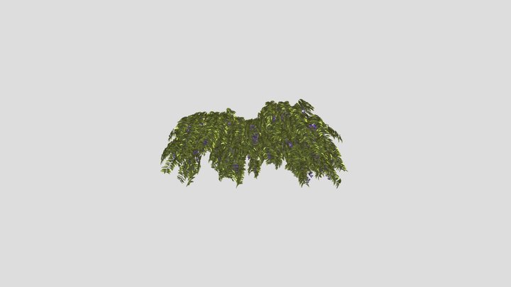 Flower Hanging Wall Plant