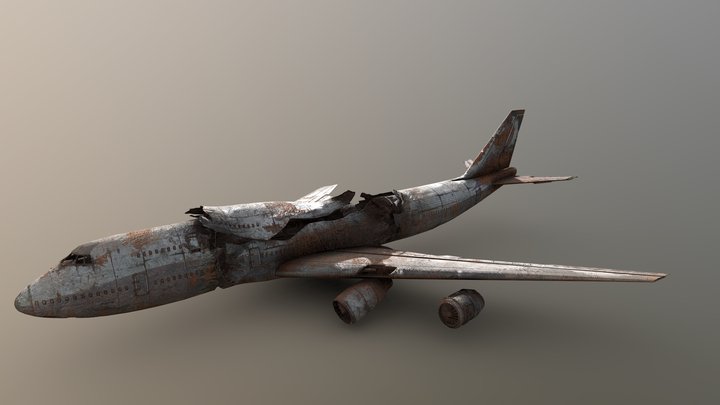 AirPlane Wreckage 3D Model