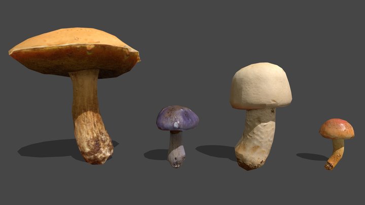 Mushroom_21&22&23&24 3D Model