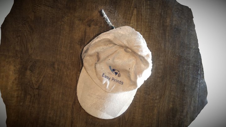 Photogramatry Hat 3D Model