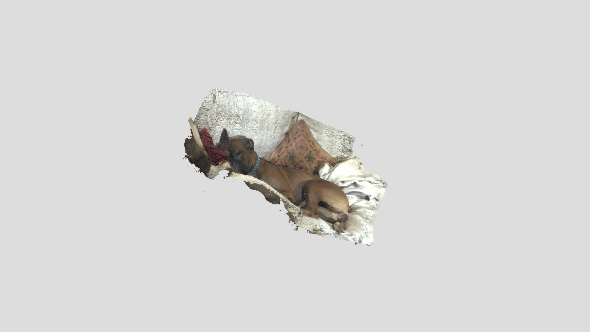TP nº 2: Mi perra