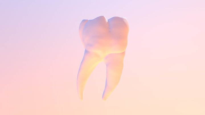 Okamoto-6-bm 3D Model