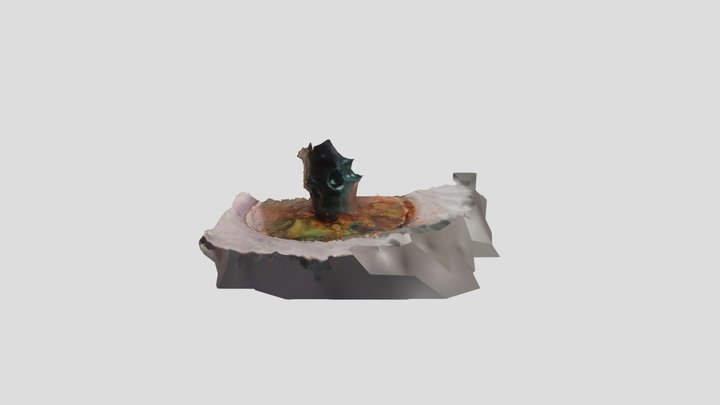 Skull 3D Model