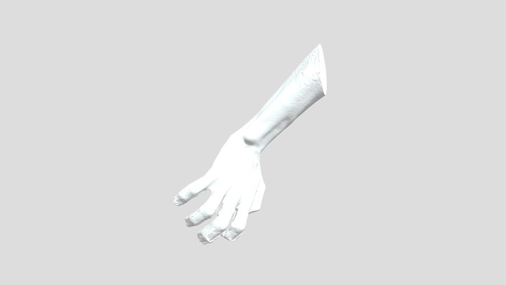 Male Hand Scan 3D Model