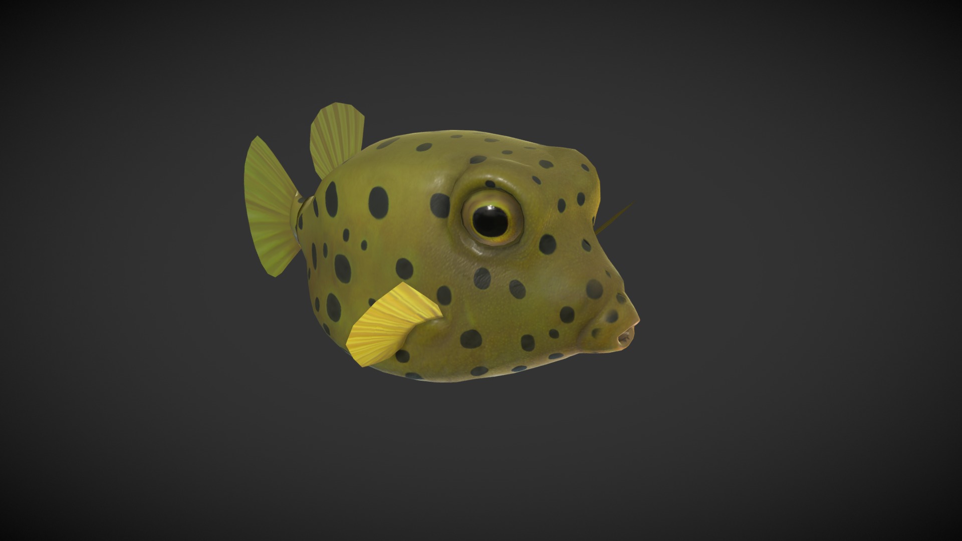 3D model Puffer Fish - This is a 3D model of the Puffer Fish. The 3D model is about a yellow and black frog.
