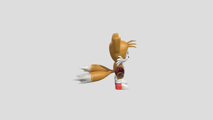 Tails Outcome Memories Adaptation Model 3D Model