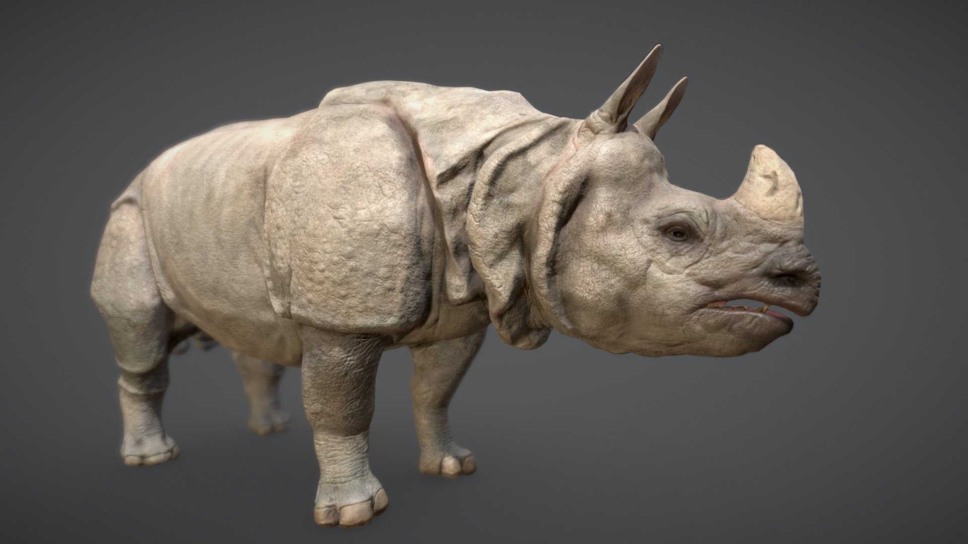 Indian Rhinoceros Buy Royalty Free 3D Model By Viverna Viverna 362 c3737e1 Sketchfab Store