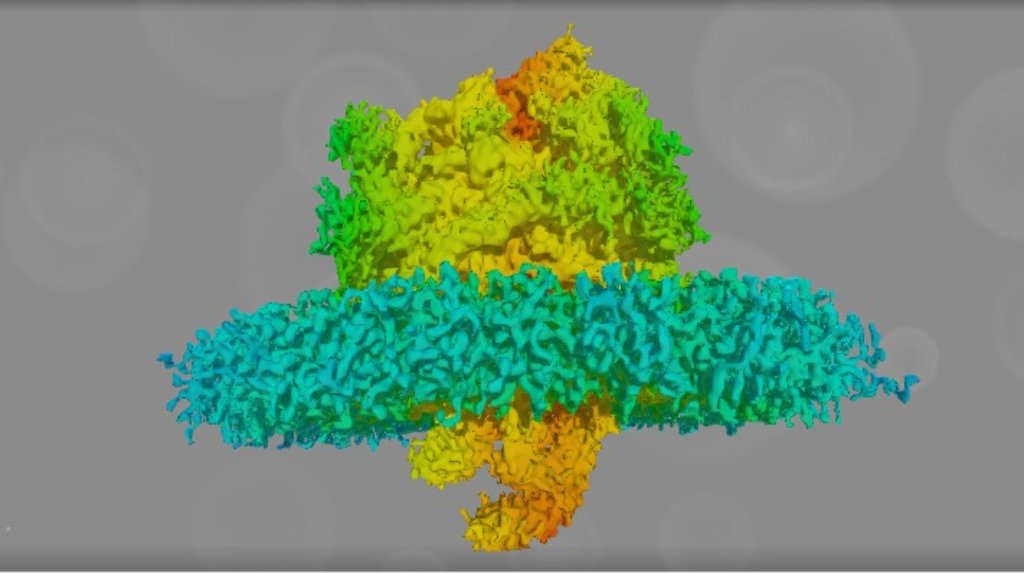 Ribosome bound to the native Sec61- EMD 3068 - 3D model by Interactive ...