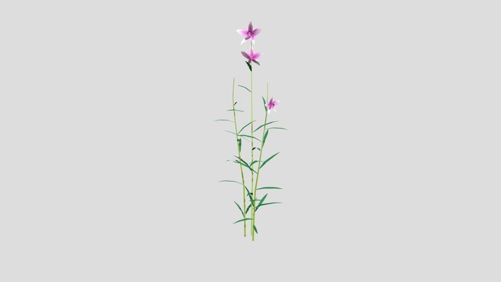 Orquidea Bambu 3D Model