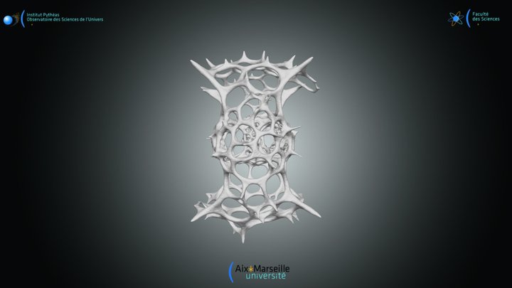 Radiolaire spumellaire - Tetrapyle octacantha 1 3D Model