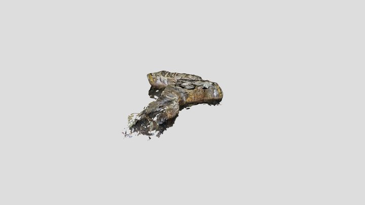 Roxbury Mine 3D Model