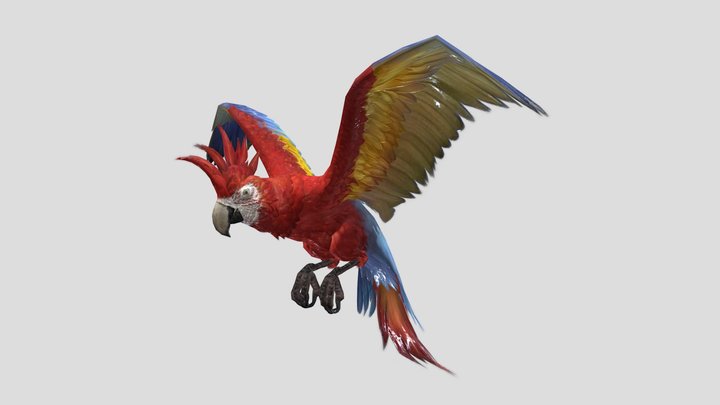 Parrot – Stylized Animated 3D Model – Modello 3D gratuito STL