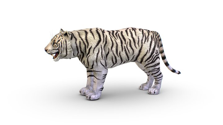 anthropomorphized sabertooth tiger, 3d render, flat