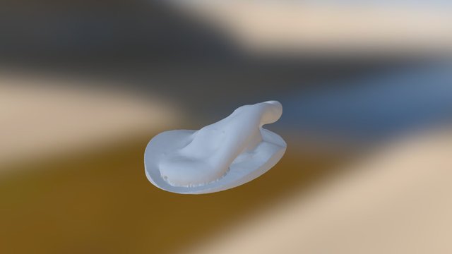 范小姐 Ear (L) Base Cut 3D Model