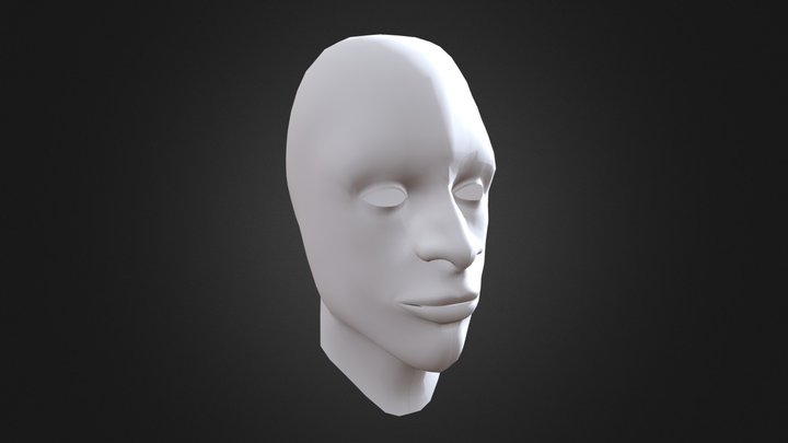 First Head Model 3D Model