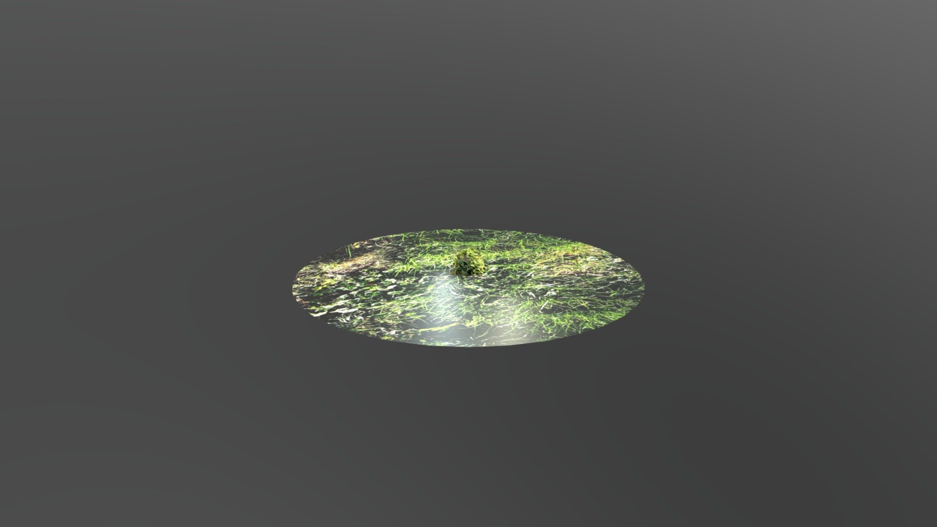 Plant  Mesh Test — Sketchfab embed 3D viewer