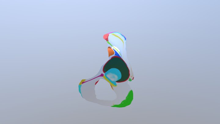 Innominate Bone Colored 3D Model